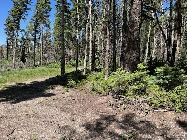 Lot 2449 Petito Drive, Fort Garland, CO 81133