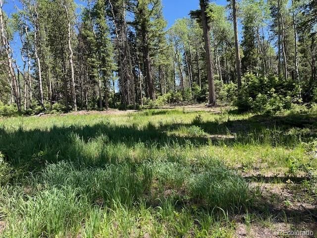 Lot 2449 Petito Drive, Fort Garland, CO 81133