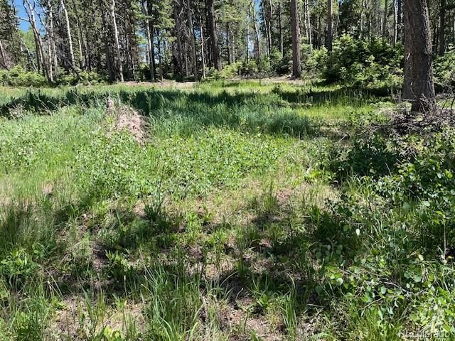 Lot 2449 Petito Drive, Fort Garland, CO 81133