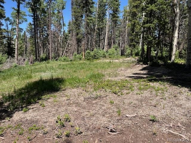 Lot 2449 Petito Drive, Fort Garland, CO 81133