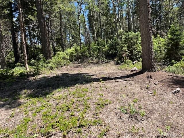 Lot 2449 Petito Drive, Fort Garland, CO 81133