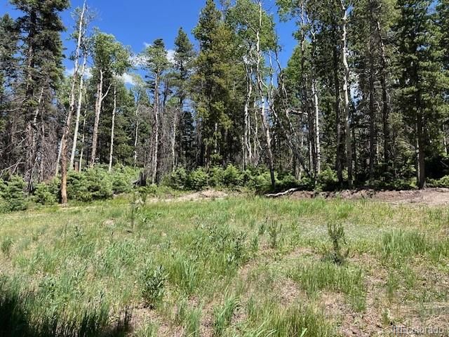 Lot 2449 Petito Drive, Fort Garland, CO 81133
