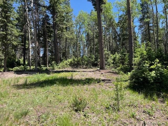 Lot 2449 Petito Drive, Fort Garland, CO 81133