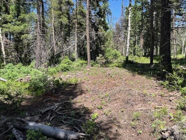 Lot 2449 Petito Drive, Fort Garland, CO 81133