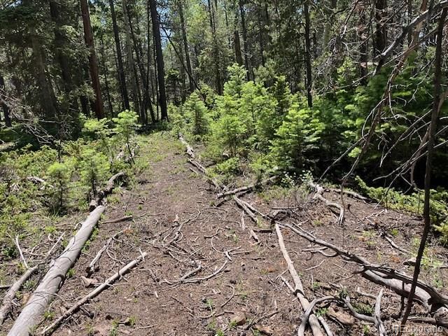 Lot 2449 Petito Drive, Fort Garland, CO 81133