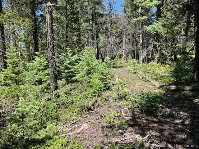 Lot 2449 Petito Drive, Fort Garland, CO 81133