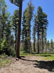 Lot 2449 Petito Drive, Fort Garland, CO 81133