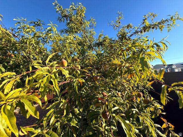 138 W 350 N, Vineyard, UT 84059