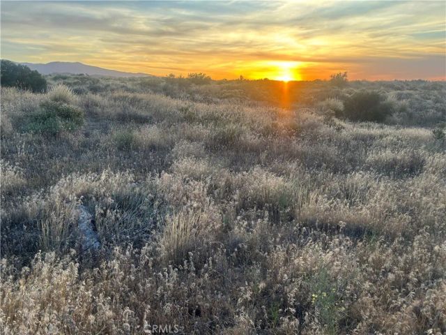 0 Wilson Ranch, Phelan, CA 92371