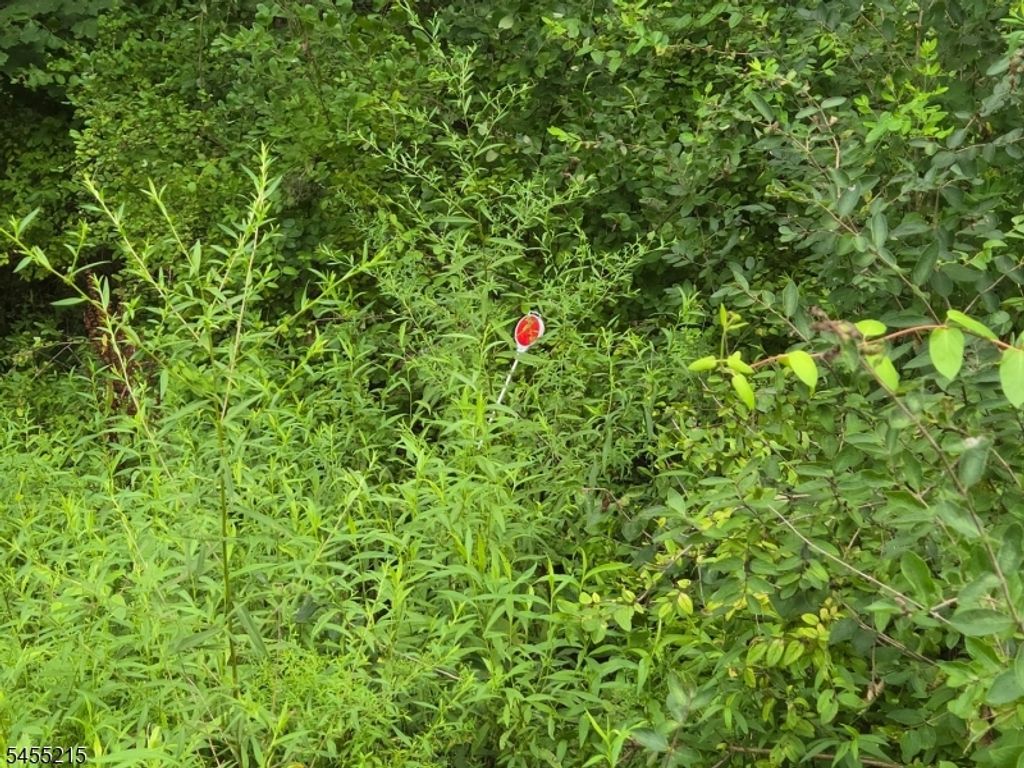 2 Hewlett Rd, Montville Twp., NJ 07082 — photo 2