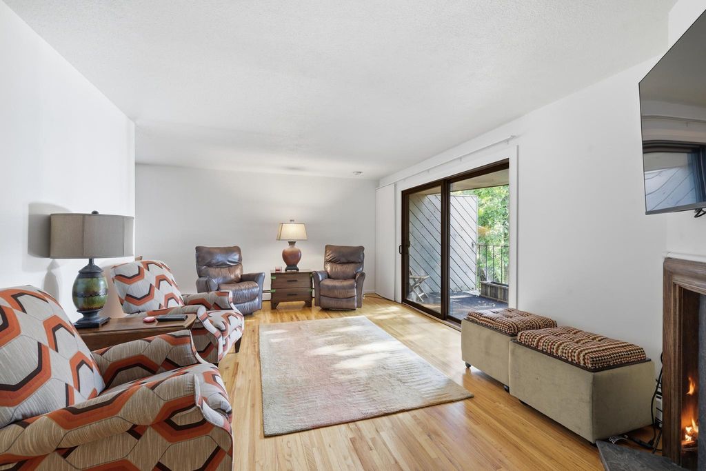 3033 E Bde Maka Ska Parkway 301, Minneapolis, MN 55408 — photo 5