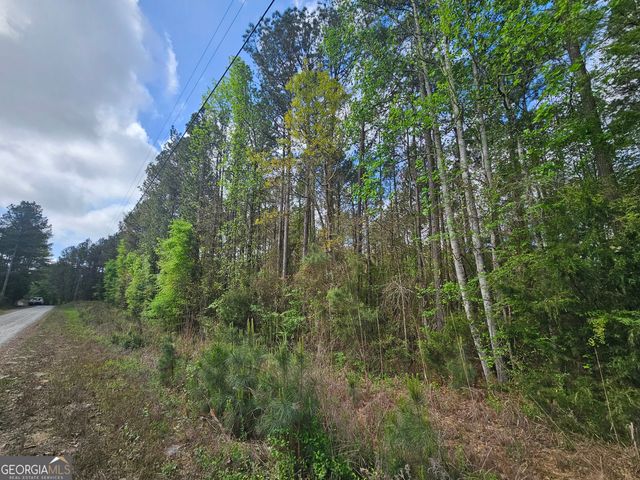 LOT 12 Gregg Shoals Drive, Elberton, GA 30635