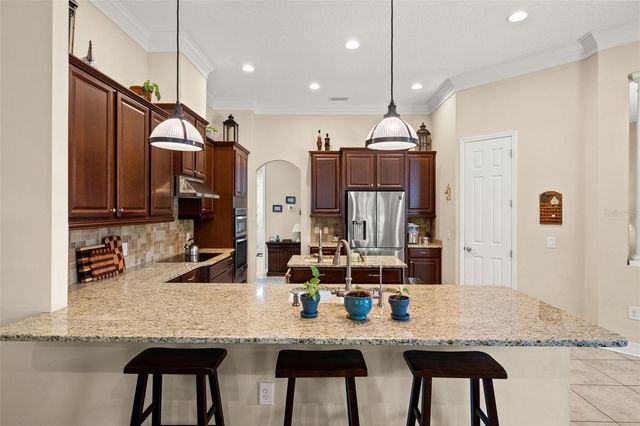 15103 AZRA DRIVE, Odessa, FL 33556