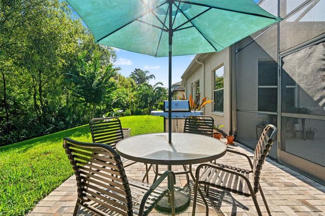 15103 AZRA DRIVE, Odessa, FL 33556