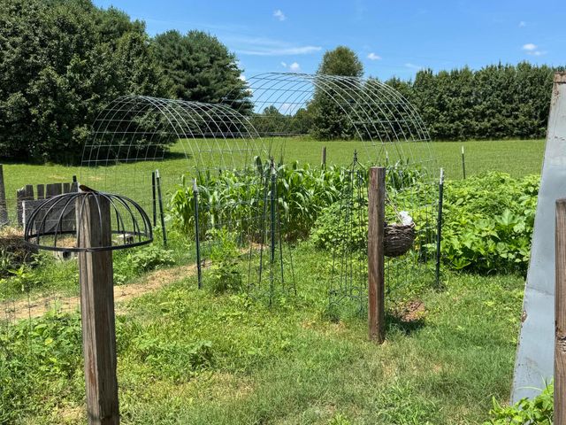 75 J D B Road, Russell Springs, KY 42642