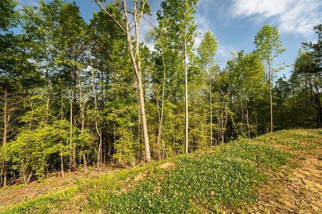 280 Dan Ross Road, Six Mile, SC 29682