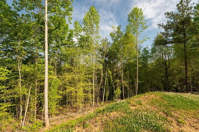 280 Dan Ross Road, Six Mile, SC 29682