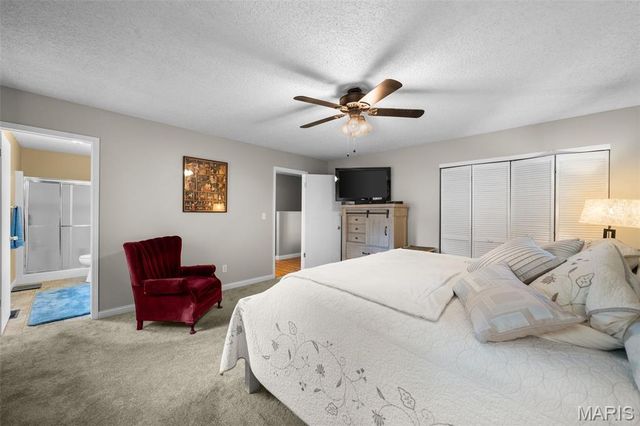 1119 Napoleon Drive, Bonne Terre, MO 63628