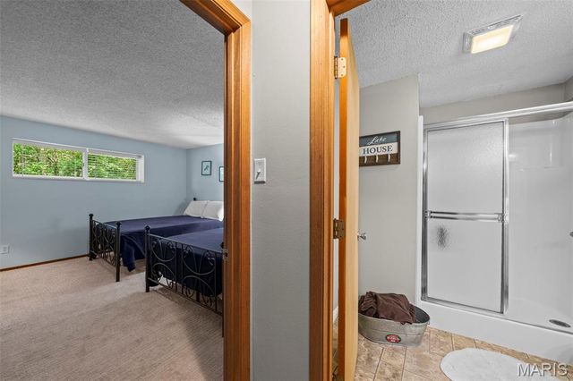 1119 Napoleon Drive, Bonne Terre, MO 63628
