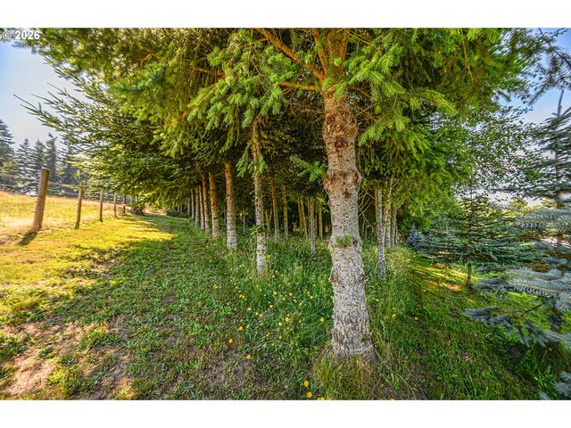 27340 PARKDALE Rd, Rainier, OR 97048