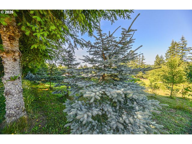 27340 PARKDALE Rd, Rainier, OR 97048