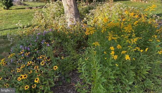 105 CHAPEL HILL DR, Newark, DE 19711