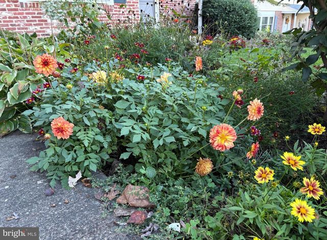 105 CHAPEL HILL DR, Newark, DE 19711