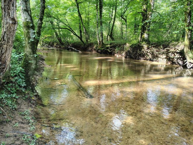 1030 Lee Wilson Road, Lafayette, GA 30728
