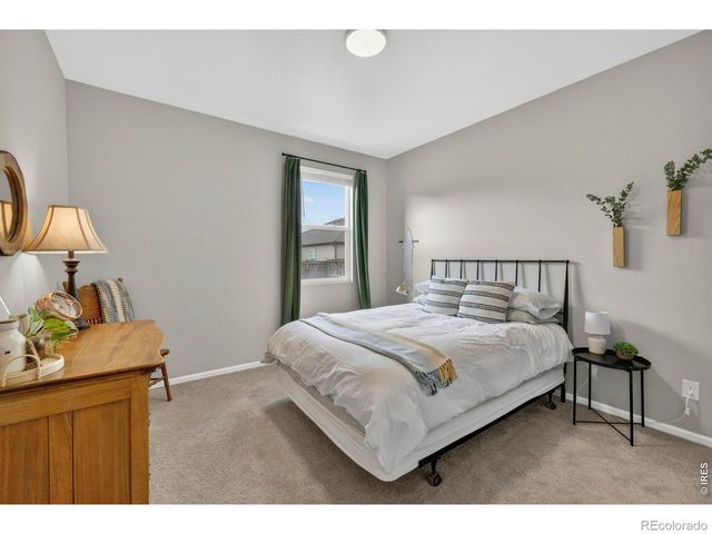 3657 Daylily Street, Wellington, CO 80549