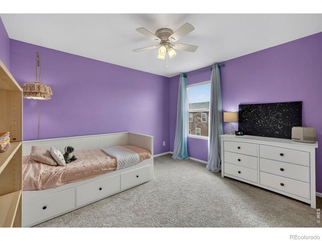 3657 Daylily Street, Wellington, CO 80549