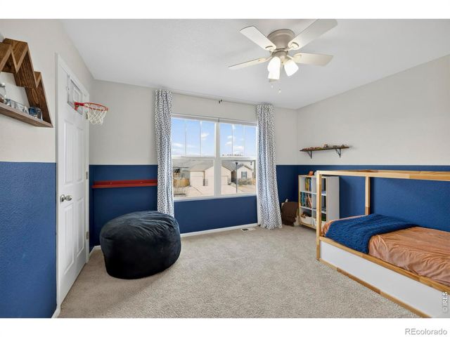 3657 Daylily Street, Wellington, CO 80549