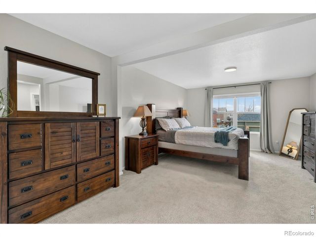 3657 Daylily Street, Wellington, CO 80549