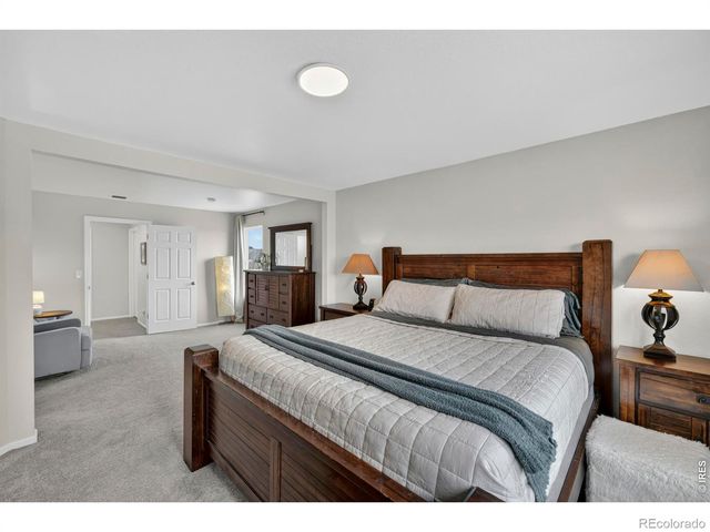 3657 Daylily Street, Wellington, CO 80549