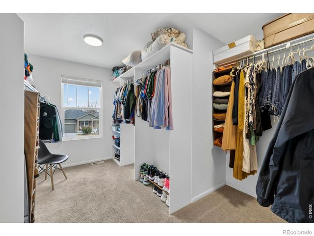 3657 Daylily Street, Wellington, CO 80549