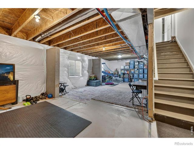 3657 Daylily Street, Wellington, CO 80549