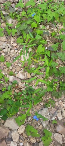 5641 New Highway 7, Santa Fe, TN 38482