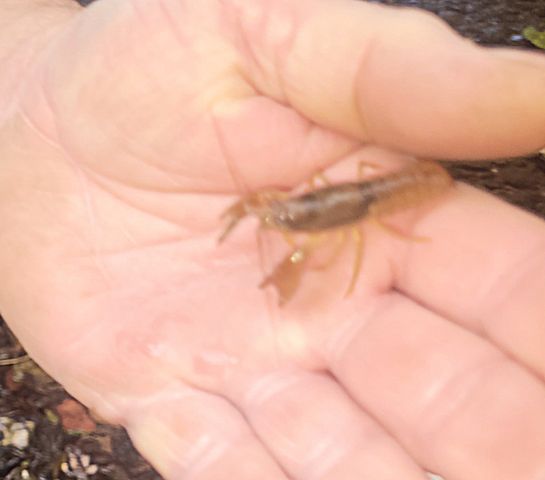 5641 New Highway 7, Santa Fe, TN 38482