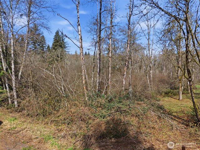 0 XXX Viewridge Road, Onalaska, WA 98570