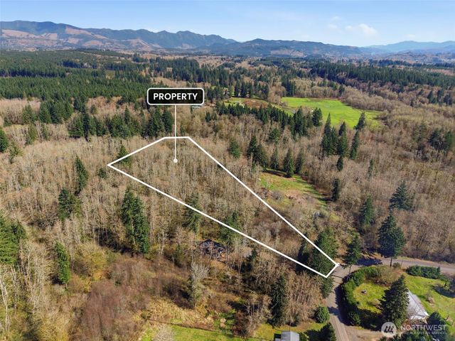 0 XXX Viewridge Road, Onalaska, WA 98570