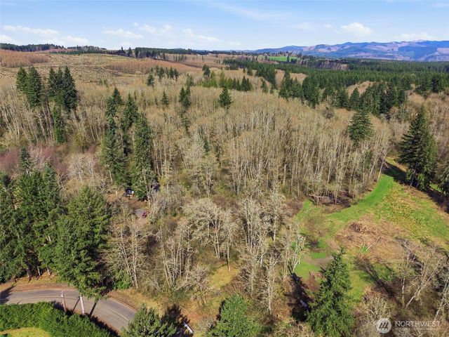 0 XXX Viewridge Road, Onalaska, WA 98570