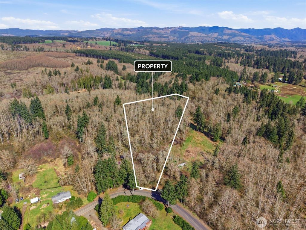 0 XXX Viewridge Road, Onalaska, WA 98570