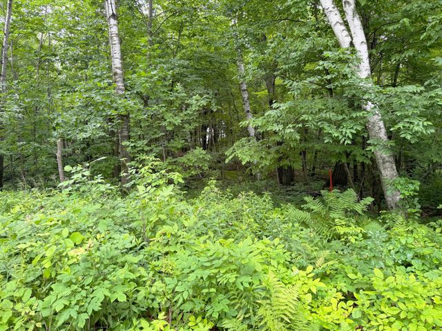 1473 Ann Lake Road, Ogilvie, MN 56358