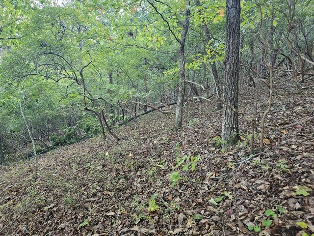391 Meteor Court, Ranger, GA 30734