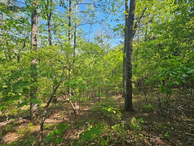 391 Meteor Court, Ranger, GA 30734