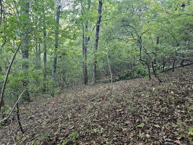 391 Meteor Court, Ranger, GA 30734