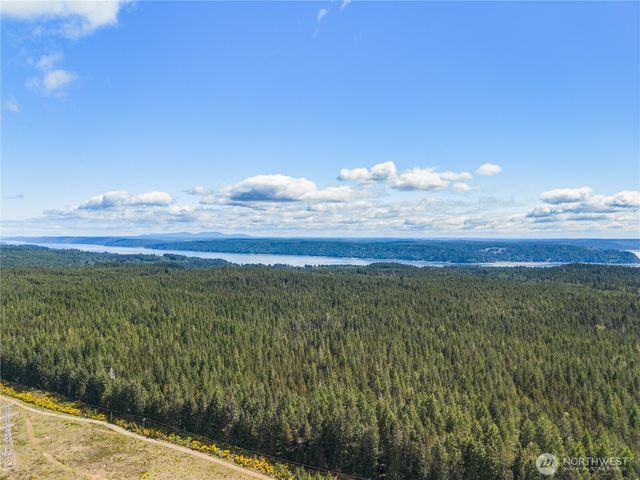 51 N Coho Court, Hoodsport, WA 98548
