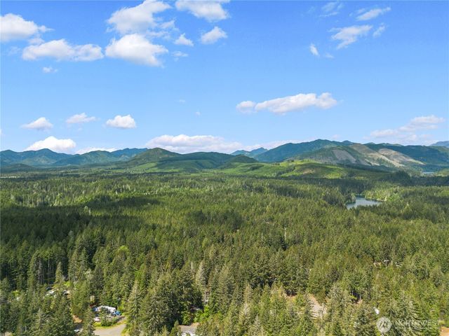 51 N Coho Court, Hoodsport, WA 98548