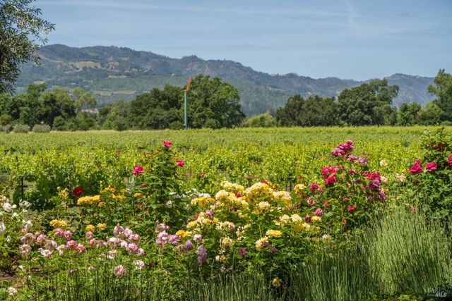 900 Rutherford Rd, Rutherford, CA 94573