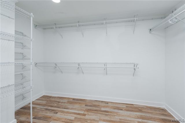 11376 Kings Loop, Tuscaloosa, AL 35405