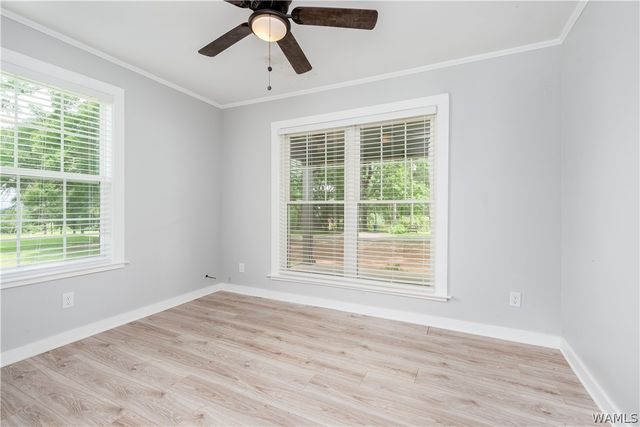 11376 Kings Loop, Tuscaloosa, AL 35405